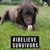 Michelle Laseter's profile image