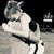 Travis Capps's profile image