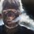 Dan Bar Dov's profile image