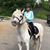 Jeanne Guiney Clemente's profile image