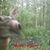 Rolland Deming's profile image