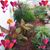 Joyce Payne Smith's profile image