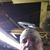 Anthony Weigler's profile image