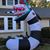 Susan Lane Schnell's profile image