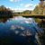 Susan M Caisse's profile image