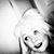 Misty Ament-Pace's profile image