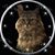 Sally Kay's profile image