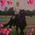 Wendy Lee Miller's profile image