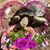 Lori Wade's profile image