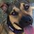 Lesley Gralino's profile image