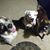 Tonya Anthony Scroggins's profile image