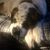 Nancy Shuster's profile image