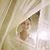 Mira Goren's profile image