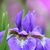 Verna Knapp's profile image