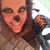 Kristen Simonsen's profile image
