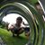 Colin Jevens's profile image