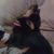 Melinda Wright-Kero's profile image
