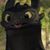 Robert Taylor's profile image