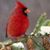 Stephanie Hulteen West's profile image