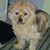 Mars Edora's profile image