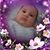 Pamela Martinez's profile image