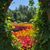 Tammy Dominiack's profile image