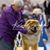 Linda Love Banghart's profile image