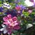 Linda Redd's profile image