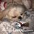 Katherine Marie's profile image