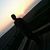 Baldo Alvarado's profile image