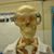 Nicole Kunec Irelan's profile image
