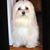 Peggy Lupton's profile image