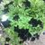 Lori Cole Garrard's profile image