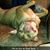 Pam Ferraina's profile image