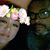 Mark N Susan Stinson's profile image