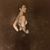 Terri Weagant's profile image