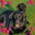 Michelle Haran's profile image