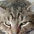 Michelle Crain's profile image