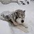 Terri Fish's profile image