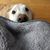 Lynn Sweeney Des Lauriers's profile image