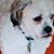 Victoria Velasquez's profile image