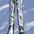 Kaaren Samuels's profile image
