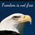 Gayle Talmadge's profile image