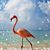 Rebecca Hermanson's profile image