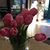 Melanie Ascher's profile image