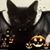 Amy Mead's profile image
