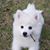 Vicki Sue Garrett's profile image
