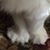 BettySue Harris's profile image