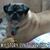 Debbie Southard's profile image
