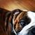 Roderick Atwood's profile image